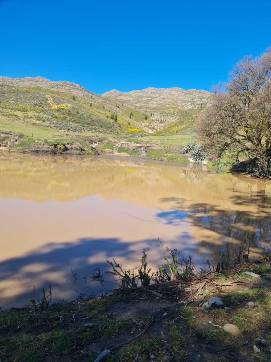 Commercial Property for Sale in Avontuur Western Cape